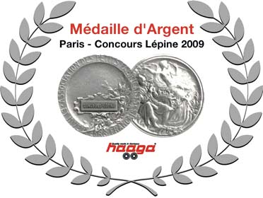 Medaille d'argent